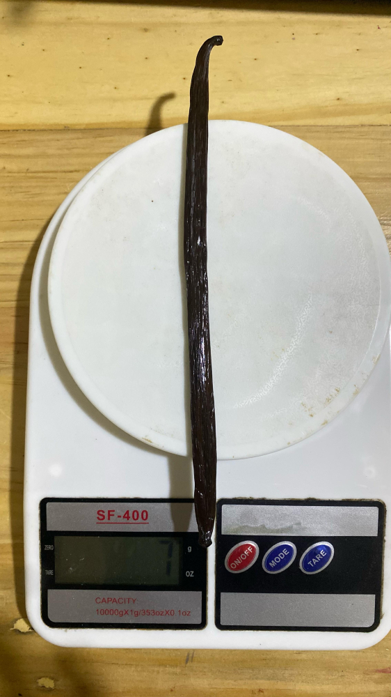 【佳林農產】頂級大溪地香草莢 A 級 (13-16cm) ｜ 珍稀熱帶花果香 高奢Gelato/法式甜點指定 德國TÜV認證