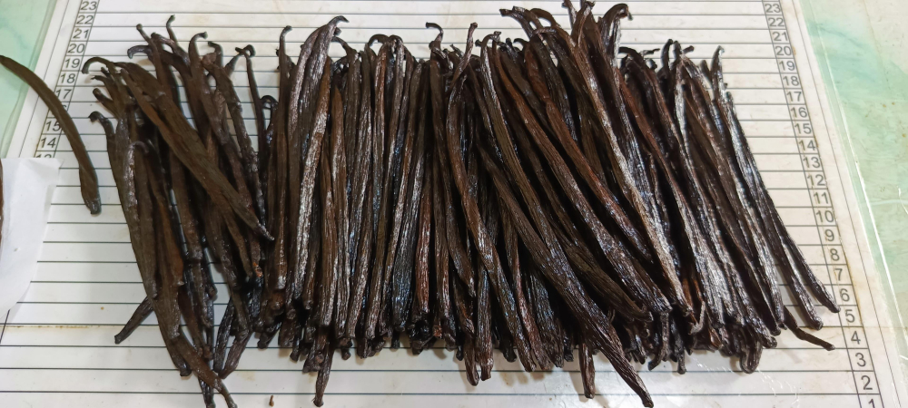 【佳林農產】頂級波本香草莢 A 級 (16-18cm) ｜ 印尼默拉皮火山契作 德國萊茵TÜV認證 烘焙甜點首選
